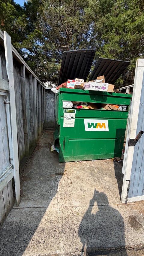 A green waste management dumpster with open lids in an alley, filled with household items and cardboard boxes, surrounded by fencing and trees