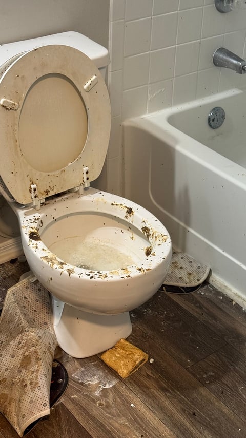 A heavily soiled toilet with rust stains, open seat and lid, in a dirty bathroom with tiled walls and bathtub visible